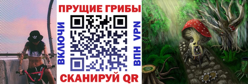 купить наркоту  Староминская  Галлюциногенные грибы Psilocybine cubensis 